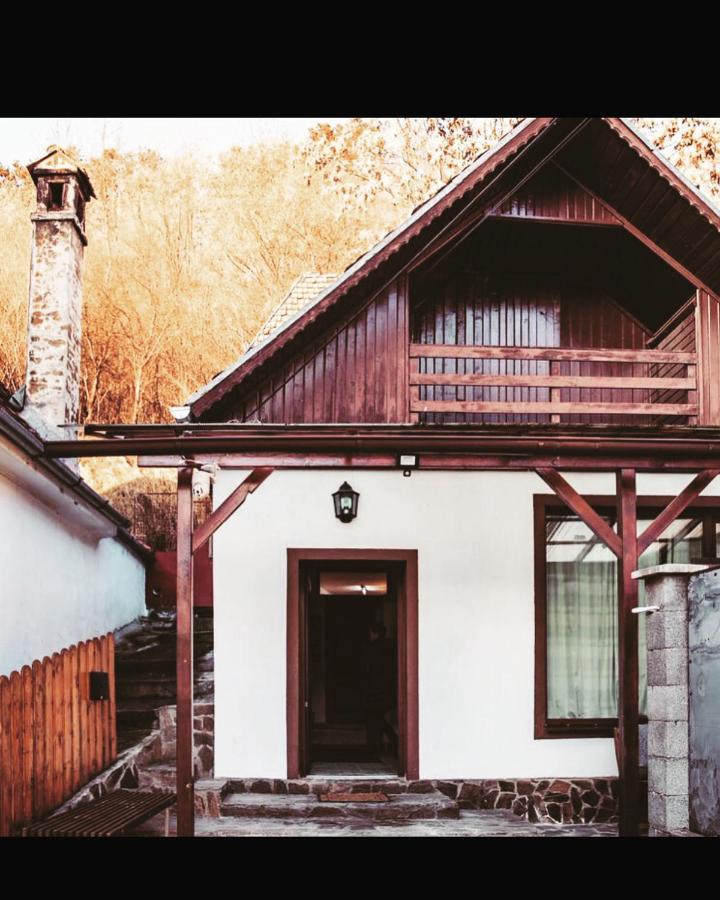 Sedra House Villa Segesvár Kültér fotó