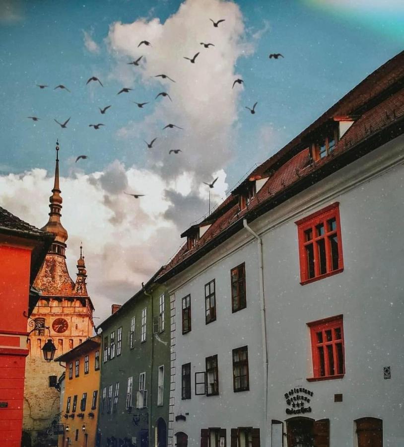 Sedra House Villa Segesvár Kültér fotó